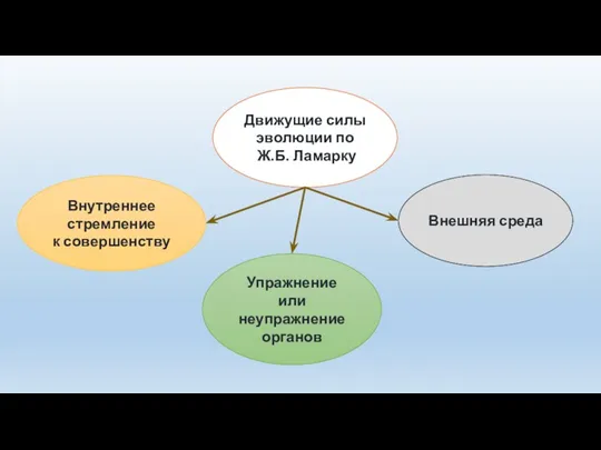 Внешняя среда Движущие силы эволюции по Ж.Б. Ламарку Упражнение или неупражнение органов Внутреннее стремление к совершенству