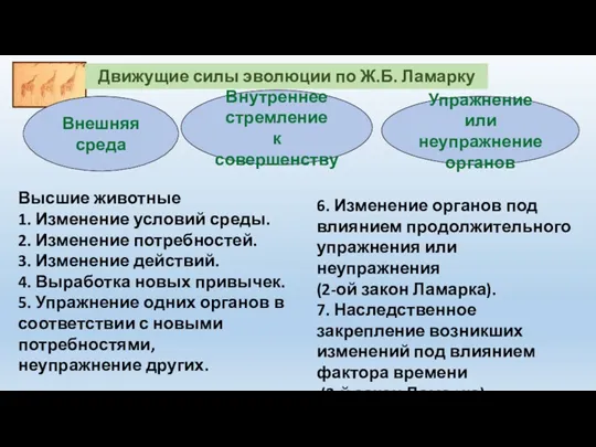 Движущие силы эволюции по Ж.Б. Ламарку Внешняя среда Внутреннее стремление