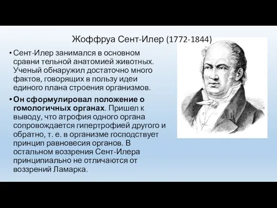 Сент-Илер занимался в основном сравни тельной анатомией животных. Ученый обнаружил