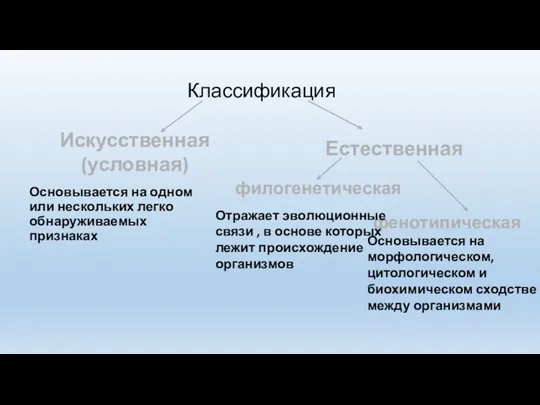 Классификация Основывается на одном или нескольких легко обнаруживаемых признаках Искусственная