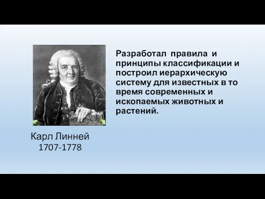 Карл Линней 1707-1778 Разработал правила и принципы классификации и построил