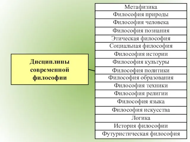 Дисциплины современной философии