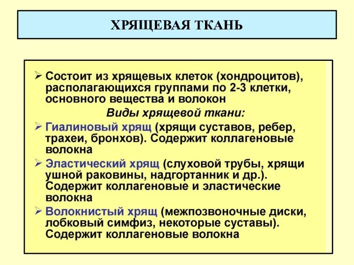 ХРЯЩЕВАЯ ТКАНЬ