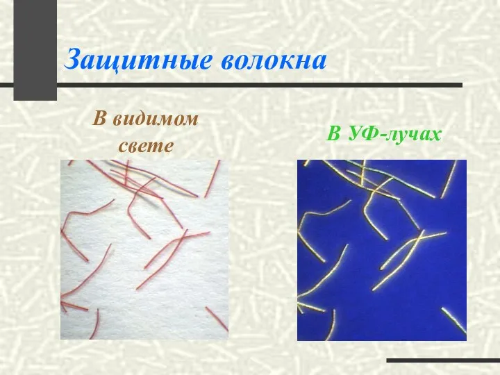 Защитные волокна В видимом свете В УФ-лучах