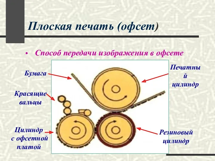 Плоская печать (офсет) Способ передачи изображения в офсете Цилиндр с