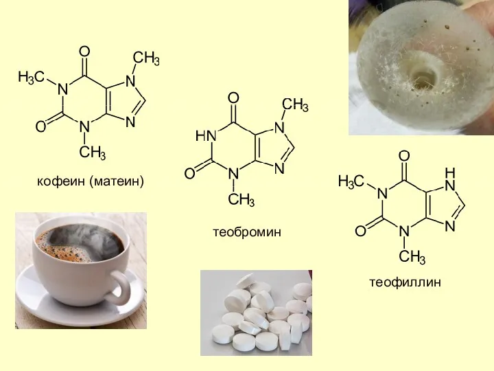 теобромин кофеин (матеин) теофиллин