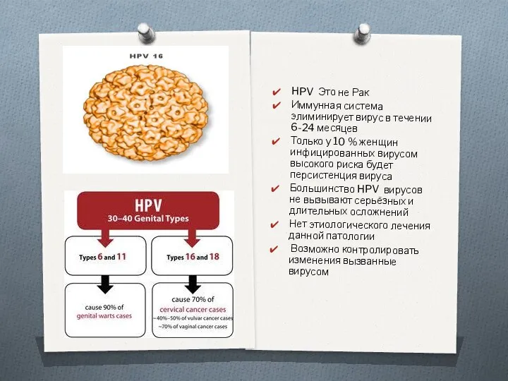 HPV Это не Рак Иммунная система элиминирует вирус в течении 6-24 месяцев Только
