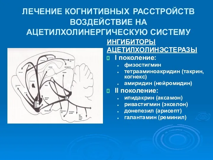 ЛЕЧЕНИЕ КОГНИТИВНЫХ РАССТРОЙСТВ ВОЗДЕЙСТВИЕ НА АЦЕТИЛХОЛИНЕРГИЧЕСКУЮ СИСТЕМУ ИНГИБИТОРЫ АЦЕТИЛХОЛИНЭСТЕРАЗЫ I