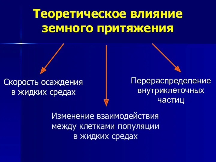 Теоретическое влияние земного притяжения Перераспределение внутриклеточных частиц Скорость осаждения в