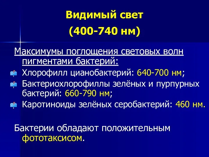 Видимый свет (400-740 нм) Максимумы поглощения световых волн пигментами бактерий: