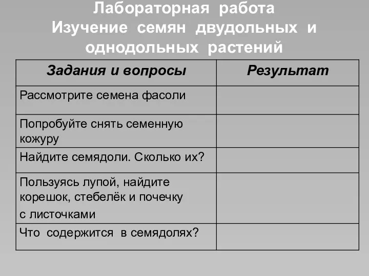 Лабораторная работа Изучение семян двудольных и однодольных растений