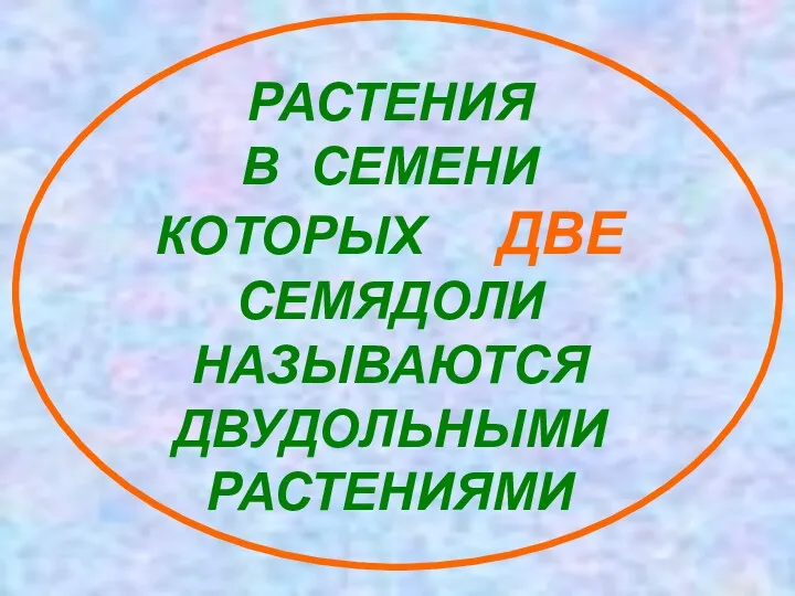 РАСТЕНИЯ В СЕМЕНИ КОТОРЫХ ДВЕ СЕМЯДОЛИ НАЗЫВАЮТСЯ ДВУДОЛЬНЫМИ РАСТЕНИЯМИ