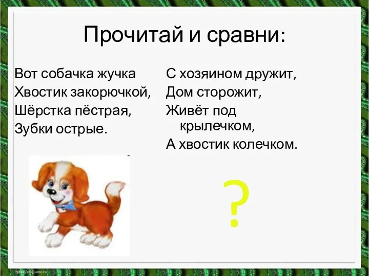 Прочитай и сравни: Вот собачка жучка Хвостик закорючкой, Шёрстка пёстрая,