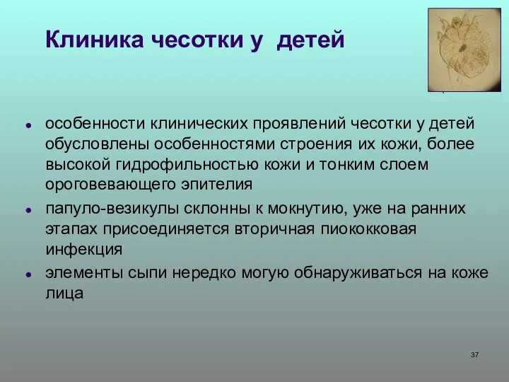 Клиника чесотки у детей особенности клинических проявлений чесотки у детей