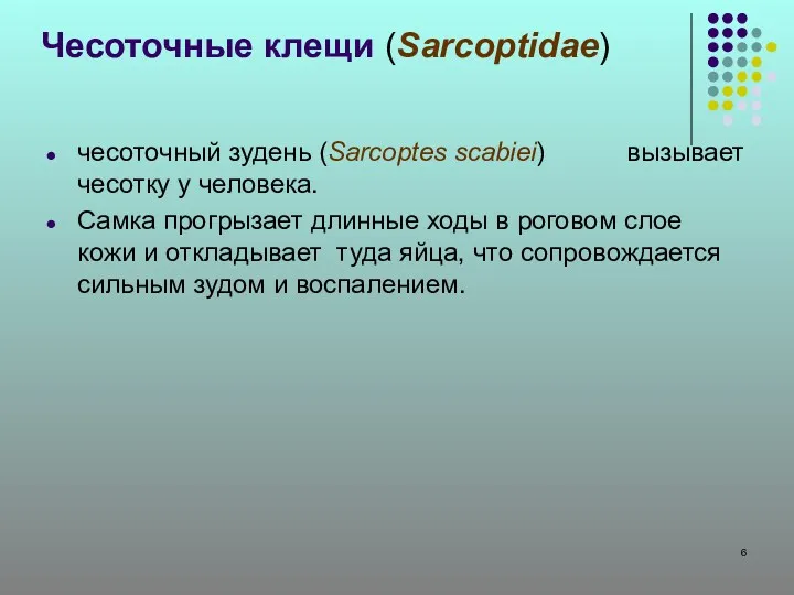 чесоточный зудень (Sarcoptes scabiei) вызывает чесотку у человека. Самка прогрызает