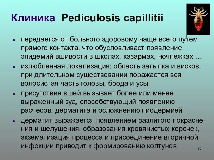 Клиника Pediculosis capillitii передается от больного здоровому чаще всего путем