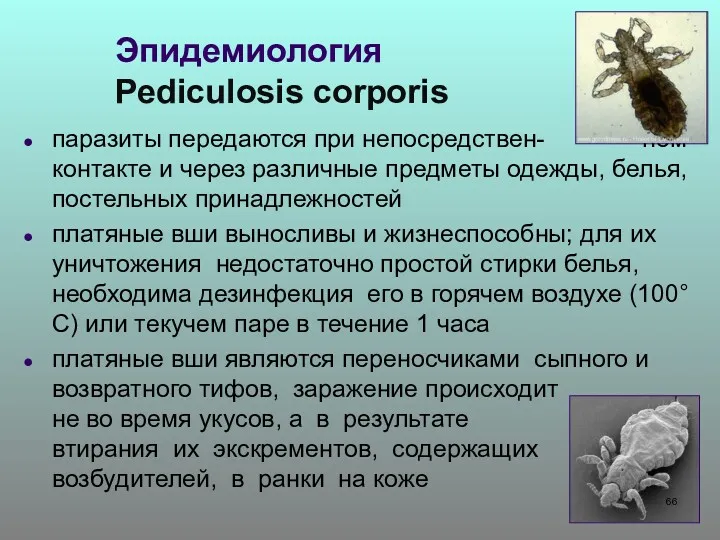 Эпидемиология Pediculosis corporis паразиты передаются при непосредствен- ном контакте и