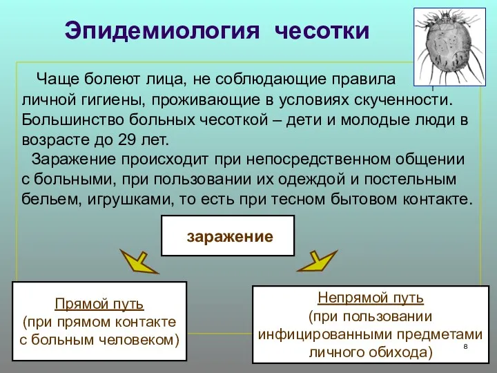 Эпидемиология чесотки Чаще болеют лица, не соблюдающие правила личной гигиены,