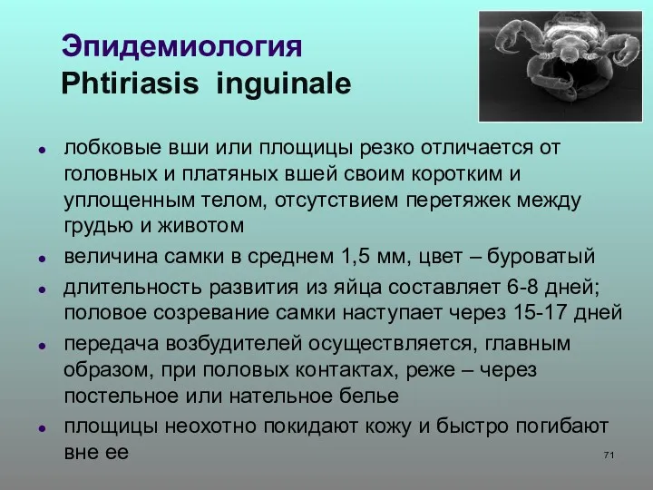 Эпидемиология Phtiriasis inguinale лобковые вши или площицы резко отличается от