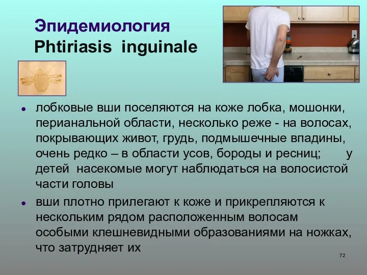 Эпидемиология Phtiriasis inguinale лобковые вши поселяются на коже лобка, мошонки,