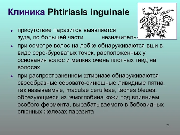 Клиника Phtiriasis inguinale присутствие паразитов выявляется появлением зуда, по большей