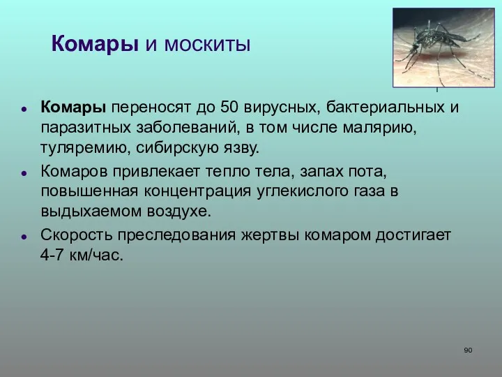 Комары и москиты Комары переносят до 50 вирусных, бактериальных и