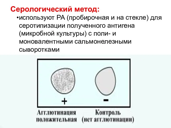 Серологический метод: используют РА (пробирочная и на стекле) для серотипизации