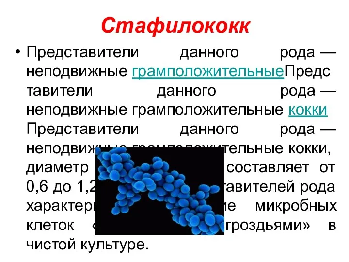 Стафилококк Представители данного рода — неподвижные грамположительныеПредставители данного рода —