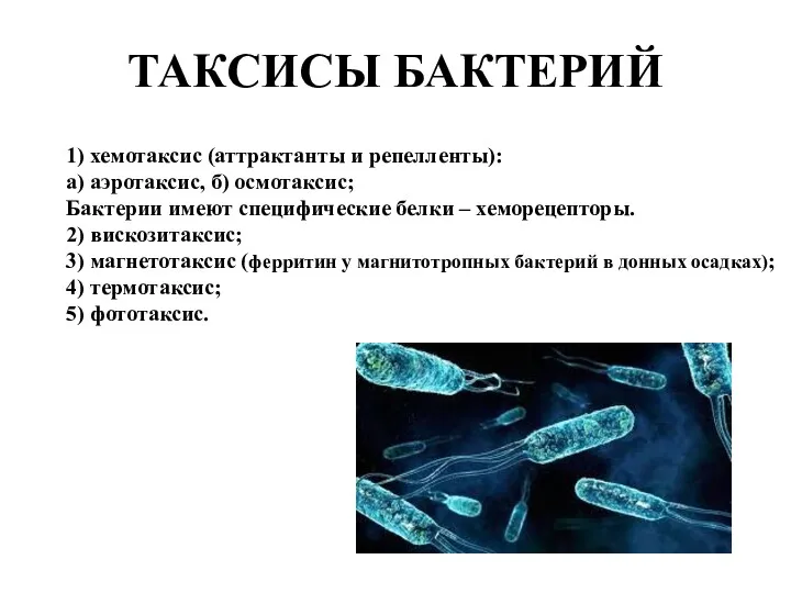 ТАКСИСЫ БАКТЕРИЙ 1) хемотаксис (аттрактанты и репелленты): а) аэротаксис, б)