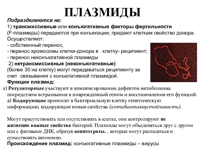 ПЛАЗМИДЫ Подразделяются на: 1) трансмиссивные или конъюгативные факторы фертильности (F-плазмиды)