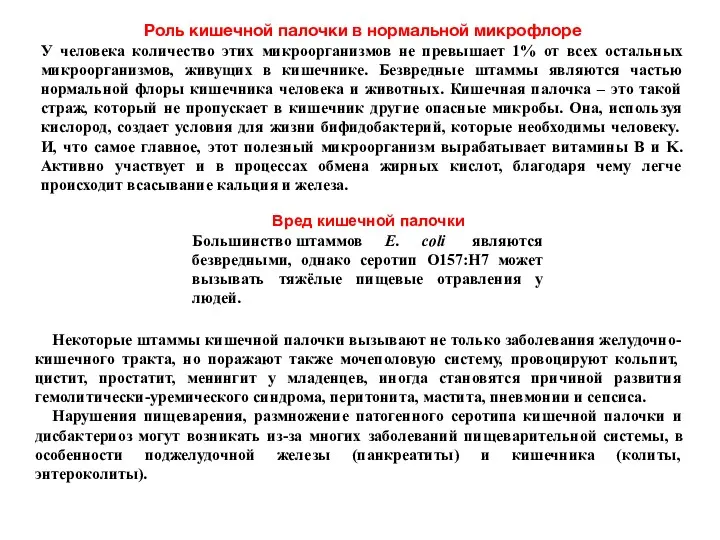 Роль кишечной палочки в нормальной микрофлоре У человека количество этих