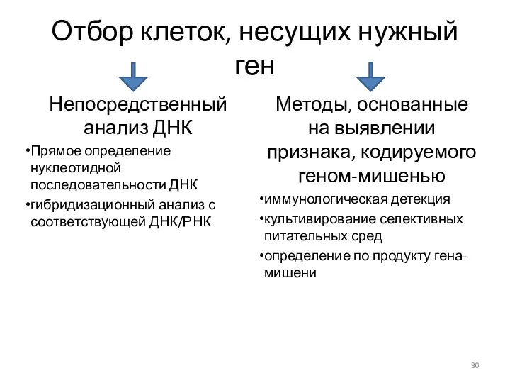 Отбор клеток, несущих нужный ген Непосредственный анализ ДНК Прямое определение