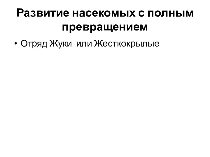 Развитие насекомых с полным превращением Отряд Жуки или Жесткокрылые