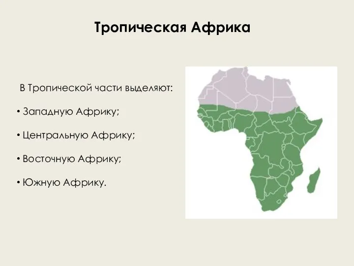 Тропическая Африка В Тропической части выделяют: Западную Африку; Центральную Африку; Восточную Африку; Южную Африку.
