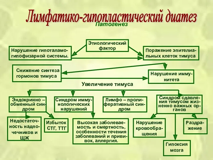 Патогенез Лимфатико-гипопластический диатез Нарушение гипоталамо- гипофизарной системы. Этиологический фактор Поражение