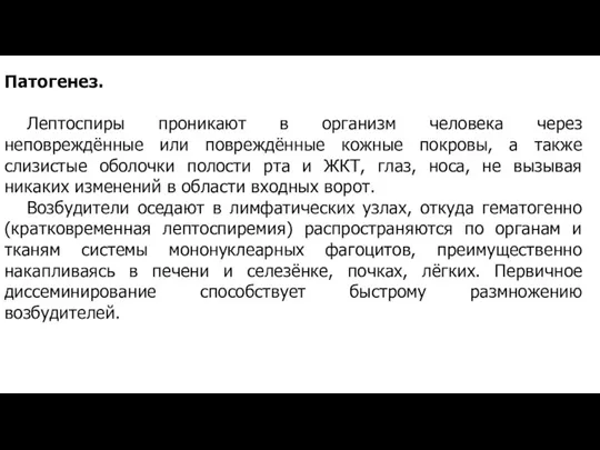 Патогенез. Лептоспиры проникают в организм человека через неповреждённые или повреждённые