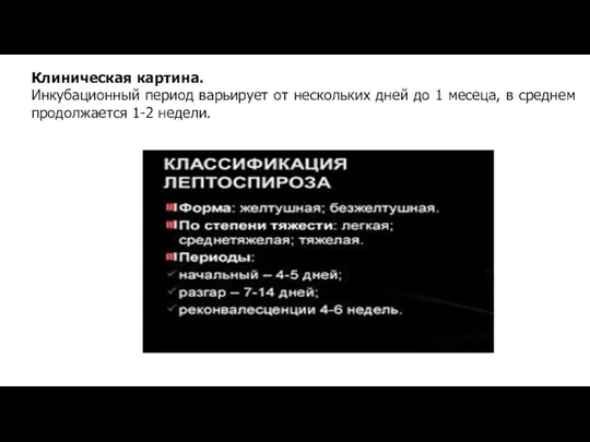 Клиническая картина. Инкубационный период варьирует от нескольких дней до 1 месеца, в среднем продолжается 1-2 недели.