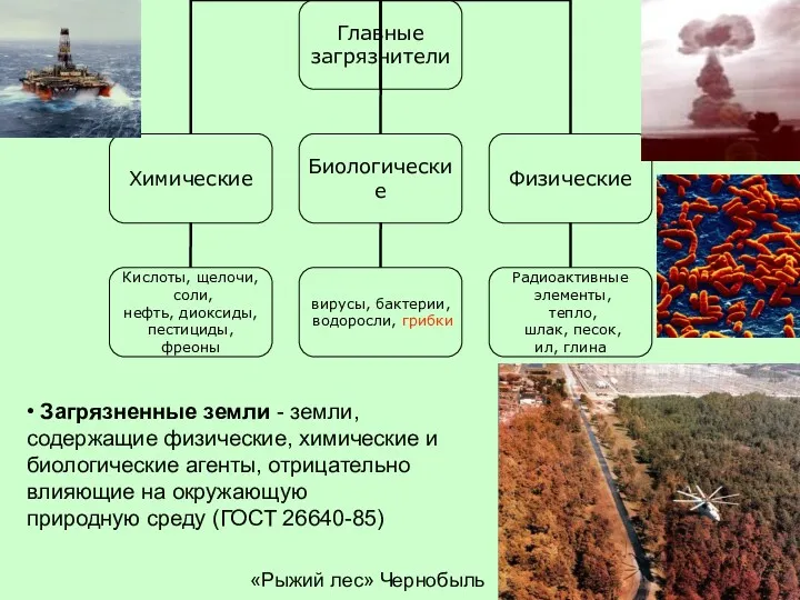 «Рыжий лес» Чернобыль • Загрязненные земли - земли, содержащие физические,