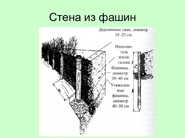 Стена из фашин