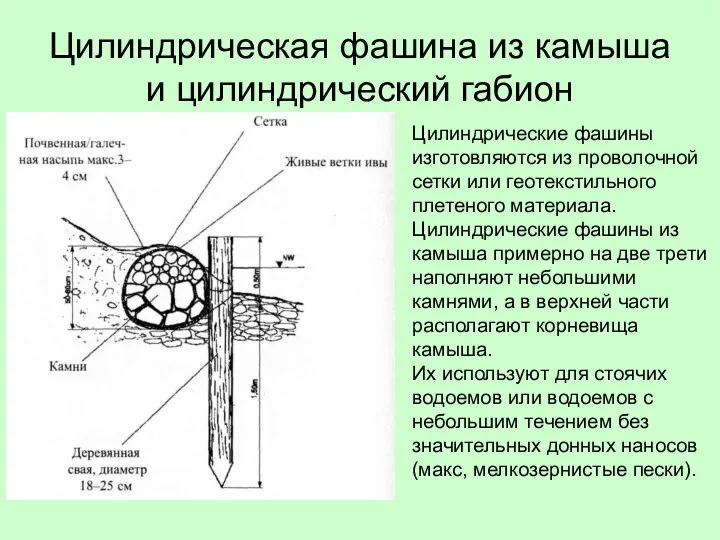 Цилиндрическая фашина из камыша и цилиндрический габион Цилиндрические фашины изготовляются