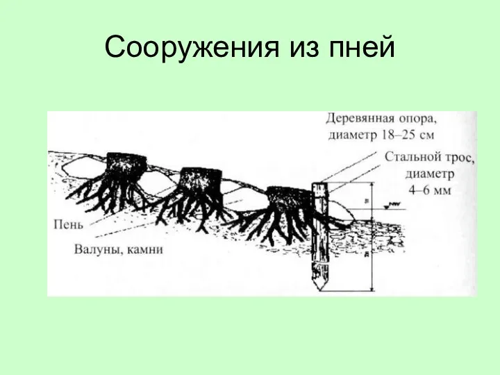 Сооружения из пней