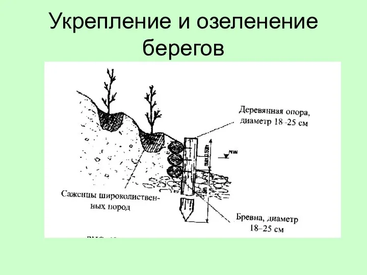 Укрепление и озеленение берегов