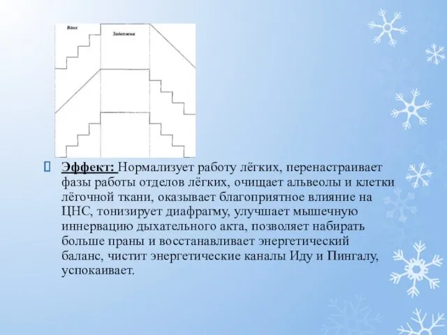 Эффект: Нормализует работу лёгких, перенастраивает фазы работы отделов лёгких, очищает