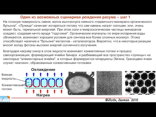 На плоскую поверхность камня, волна выплеснула немного «первичного минерало-органического бульона".