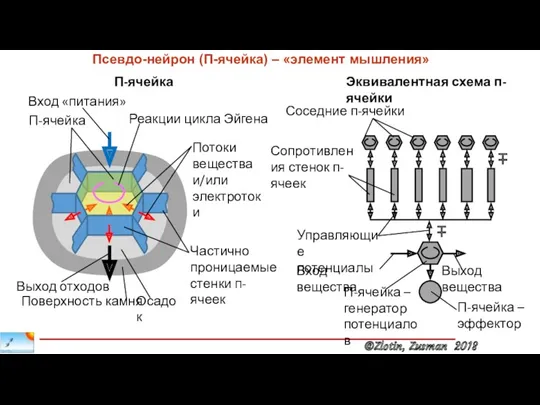 ∓ ∓ Псевдо-нейрон (П-ячейка) – «элемент мышления»