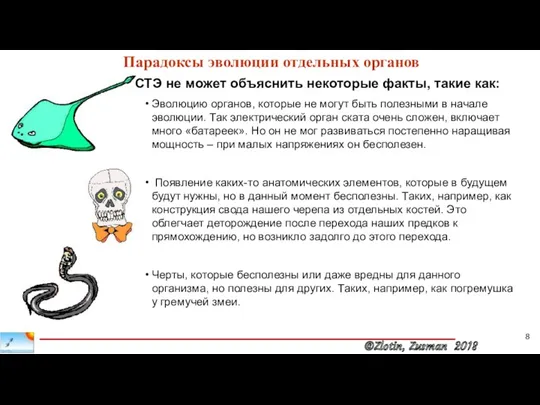 Парадоксы эволюции отдельных органов СТЭ не может объяснить некоторые факты,