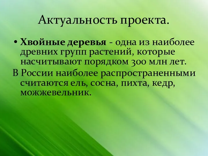 Актуальность проекта. Хвойные деревья - одна из наиболее древних групп