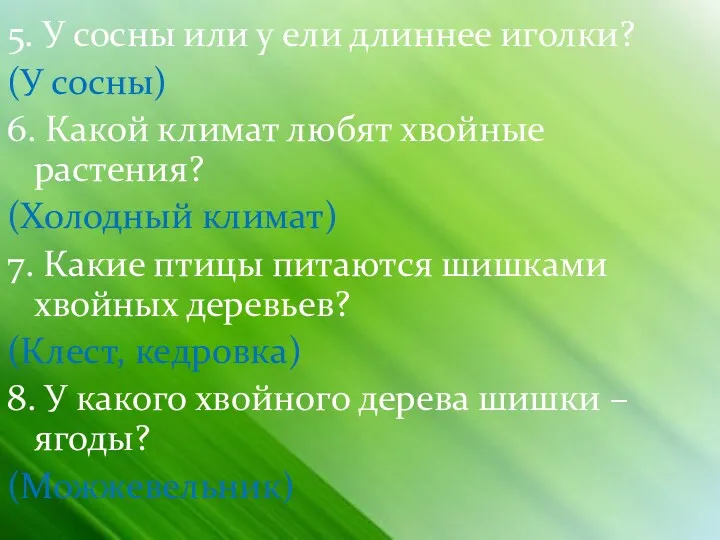 5. У сосны или у ели длиннее иголки? (У сосны)