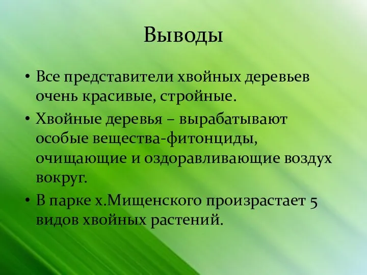 Выводы Все представители хвойных деревьев очень красивые, стройные. Хвойные деревья