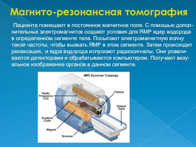 Магнито-резонансная томография Пациента помещают в постоянное магнитное поле. С помошью